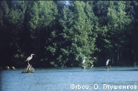 ����� ����� �� ����